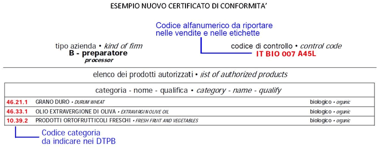 schema certificato conformita