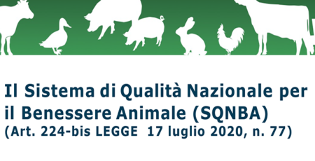benessere