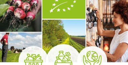 organic-panel organic-panel